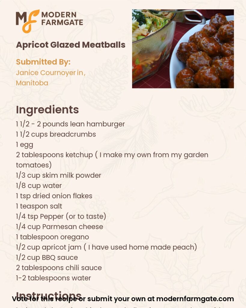 apricot-glazed-meatballs-janice-cournoyer