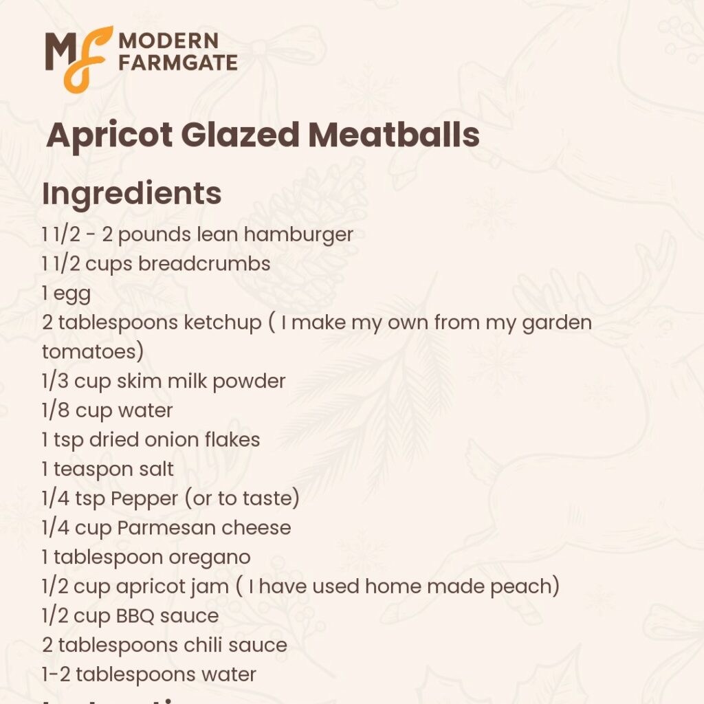 apricot-glazed-meatballs-janice-cournoyer